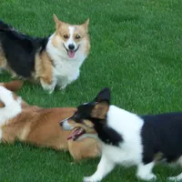 processed/b709559e-d58f-490c-9d5f-451de6ba0841/facility/e7158822-d231-4103-bb07-4f0a71656b53