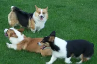 processed/b709559e-d58f-490c-9d5f-451de6ba0841/facility/e7158822-d231-4103-bb07-4f0a71656b53