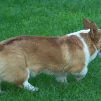 processed/b709559e-d58f-490c-9d5f-451de6ba0841/facility/ed470776-14ab-452d-82eb-b417925626d9