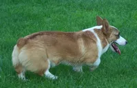 processed/b709559e-d58f-490c-9d5f-451de6ba0841/facility/ed470776-14ab-452d-82eb-b417925626d9