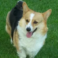 processed/b709559e-d58f-490c-9d5f-451de6ba0841/facility/f342ba92-54ef-4de7-836e-72ba1c35940b