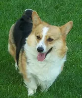 processed/b709559e-d58f-490c-9d5f-451de6ba0841/facility/f342ba92-54ef-4de7-836e-72ba1c35940b