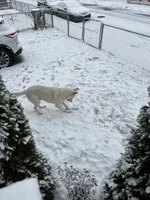 processed/b714faeb-a7a8-419f-9c8d-fe327f8bc198/listing/5f2ed4c2-c63e-4d7d-94fc-e169d1318198/a59ff4a2-69c4-4bc2-b6a2-ced1219c9e40