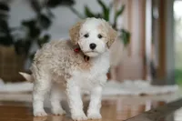 processed/b71623b4-7457-48c1-b8dd-929b6615dc97/listing/04f27373-73d0-44a6-822c-477573421fc9/164f4ffc-c73e-4771-bf00-48f209f49ba6