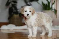 processed/b71623b4-7457-48c1-b8dd-929b6615dc97/listing/04f27373-73d0-44a6-822c-477573421fc9/3f5c08ee-7316-4aaa-b24e-efc23a0797db