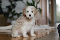 processed/b71623b4-7457-48c1-b8dd-929b6615dc97/listing/04f27373-73d0-44a6-822c-477573421fc9/5d7f12e7-cf22-485d-97e8-c20457a67aa9