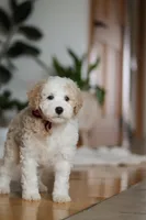 processed/b71623b4-7457-48c1-b8dd-929b6615dc97/listing/04f27373-73d0-44a6-822c-477573421fc9/d4c60616-cce7-4888-afeb-f479921e2a85