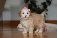 processed/b71623b4-7457-48c1-b8dd-929b6615dc97/listing/05f127e2-ead4-413a-9c2b-04f8b83f7eeb/08bf1e40-c26f-492e-ac50-24d8b4b0a907