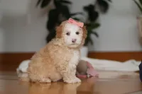 processed/b71623b4-7457-48c1-b8dd-929b6615dc97/listing/05f127e2-ead4-413a-9c2b-04f8b83f7eeb/4c778fd6-26fb-41a5-b549-d526849b5a58