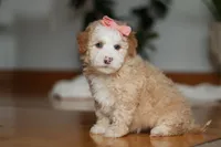 processed/b71623b4-7457-48c1-b8dd-929b6615dc97/listing/05f127e2-ead4-413a-9c2b-04f8b83f7eeb/50e5af36-29be-425f-b9a6-d5ece3eb7116