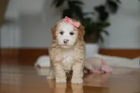 processed/b71623b4-7457-48c1-b8dd-929b6615dc97/listing/05f127e2-ead4-413a-9c2b-04f8b83f7eeb/7d4c131b-f134-4fcf-a63f-d63678d634c9