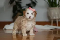 processed/b71623b4-7457-48c1-b8dd-929b6615dc97/listing/05f127e2-ead4-413a-9c2b-04f8b83f7eeb/ef06d4ec-1028-4c5f-ae2b-cfeb749d8275