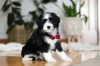 processed/b71623b4-7457-48c1-b8dd-929b6615dc97/listing/1ee8a149-8460-4f82-bec4-8e33e884de88/df9b8c5b-938f-45b8-a404-6ddaf3c826ca