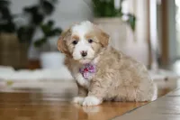 processed/b71623b4-7457-48c1-b8dd-929b6615dc97/listing/2a4aac27-11d7-40c3-96a7-27292e4afbab/0cf713ee-2812-4928-9b2d-dae24e41a510