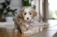 processed/b71623b4-7457-48c1-b8dd-929b6615dc97/listing/2a4aac27-11d7-40c3-96a7-27292e4afbab/0ec00417-4813-4a6a-b7a1-9f1f12628594