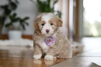 processed/b71623b4-7457-48c1-b8dd-929b6615dc97/listing/2a4aac27-11d7-40c3-96a7-27292e4afbab/225e4ba7-e6bc-422b-9668-aec8ab9d88bd