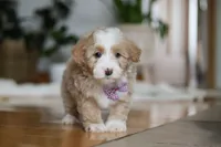 processed/b71623b4-7457-48c1-b8dd-929b6615dc97/listing/2a4aac27-11d7-40c3-96a7-27292e4afbab/5a459261-7ca7-4cb7-896a-136ffbd7f3c2