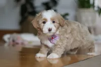 processed/b71623b4-7457-48c1-b8dd-929b6615dc97/listing/2a4aac27-11d7-40c3-96a7-27292e4afbab/df927bef-bd4e-452d-b9d7-4fe3874b2329