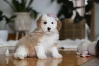 processed/b71623b4-7457-48c1-b8dd-929b6615dc97/listing/e0ea3456-bf56-4023-954e-617fc95b9dea/2e77dbe5-12d5-48fd-bd9d-5641dd67c261