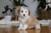 processed/b71623b4-7457-48c1-b8dd-929b6615dc97/listing/e0ea3456-bf56-4023-954e-617fc95b9dea/51800171-cb4a-4db5-a807-813f5d673e2f