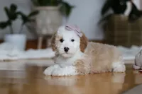 processed/b71623b4-7457-48c1-b8dd-929b6615dc97/listing/e0ea3456-bf56-4023-954e-617fc95b9dea/811eb577-495b-428b-804e-888fdbbc8d6d