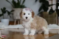 processed/b71623b4-7457-48c1-b8dd-929b6615dc97/listing/e0ea3456-bf56-4023-954e-617fc95b9dea/9191b75d-ec39-4ef0-b16c-696d6d96e2cf