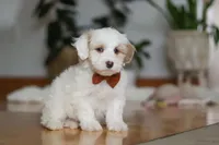 processed/b71623b4-7457-48c1-b8dd-929b6615dc97/listing/f3df164d-87b9-4782-ace6-570802329c26/83b99272-183d-4b63-8939-7c004527ad54