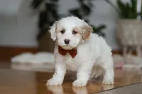 processed/b71623b4-7457-48c1-b8dd-929b6615dc97/listing/f3df164d-87b9-4782-ace6-570802329c26/f17dc411-8c9e-41bb-86db-ea6531b5230a