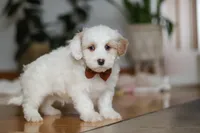 processed/b71623b4-7457-48c1-b8dd-929b6615dc97/listing/f3df164d-87b9-4782-ace6-570802329c26/f4350db0-8beb-4f7f-ad35-7584e143ae16