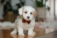 processed/b71623b4-7457-48c1-b8dd-929b6615dc97/listing/f3df164d-87b9-4782-ace6-570802329c26/fbf0c8e4-a20c-4b17-b9e1-e2a0aa03743f