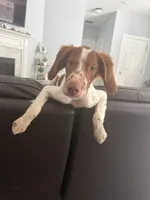 processed/b71bb2f6-2f8c-4c01-b721-8e027c2e114b/listing/0aabd009-f070-4b79-87aa-8a8de21e710d/eddd124b-e2ed-447a-8e66-acf0c9e7d495