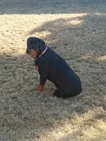 processed/b721df5e-c2d1-4d00-bc5f-e0c16de41d07/listing/52ff0b43-b33d-442a-a2c7-9a6c1f823fc2/afa51f9c-f079-432c-8087-90428c8c028b