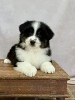 processed/b72594ab-3708-4bb6-8430-f47542cd73b6/listing/b09c6a73-e57e-40ba-bb2d-6fcd3f82dd6f/024ad070-ac35-44aa-8474-8cd35e0a8c31