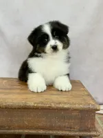 processed/b72594ab-3708-4bb6-8430-f47542cd73b6/listing/b09c6a73-e57e-40ba-bb2d-6fcd3f82dd6f/251046fb-5cb2-4e3f-a66a-c149cdeacfaa