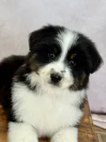 processed/b72594ab-3708-4bb6-8430-f47542cd73b6/listing/b09c6a73-e57e-40ba-bb2d-6fcd3f82dd6f/6c395f26-bb58-4842-b13c-f1d453966a72