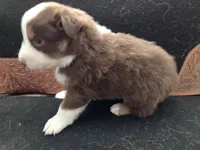 processed/b72c799c-7035-4947-a0fe-b5edd27f6c64/listing/4242fc4e-dd77-4d57-ac11-29d9090dcf1b/0b1bdfd5-fb79-47f9-a6f9-eb171a8681c6