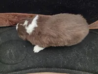 processed/b72c799c-7035-4947-a0fe-b5edd27f6c64/listing/4242fc4e-dd77-4d57-ac11-29d9090dcf1b/3eefee9c-4b6f-4278-9194-07e11f721204