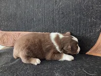 processed/b72c799c-7035-4947-a0fe-b5edd27f6c64/listing/4242fc4e-dd77-4d57-ac11-29d9090dcf1b/af664ee7-305c-43db-a525-66a881e1af74