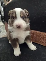 processed/b72c799c-7035-4947-a0fe-b5edd27f6c64/listing/4242fc4e-dd77-4d57-ac11-29d9090dcf1b/b5ddc2d5-3ea6-450a-9ab2-911d04083381