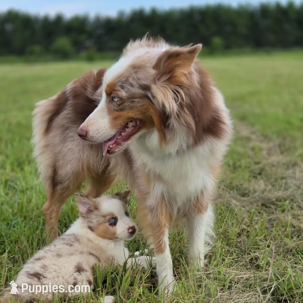 processed/b72c799c-7035-4947-a0fe-b5edd27f6c64/listing/4242fc4e-dd77-4d57-ac11-29d9090dcf1b/ff80ddca-5ce1-4a12-bcc4-974bf92a89de