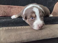 processed/b72c799c-7035-4947-a0fe-b5edd27f6c64/listing/547ce8ed-1d9f-49b2-8d19-4ac5ec342039/06b327d4-69b8-4c05-b351-9716f0cb8fa5