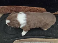 processed/b72c799c-7035-4947-a0fe-b5edd27f6c64/listing/547ce8ed-1d9f-49b2-8d19-4ac5ec342039/1256e5c9-bb38-4628-8a67-2fc9f83cff5e