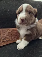 processed/b72c799c-7035-4947-a0fe-b5edd27f6c64/listing/547ce8ed-1d9f-49b2-8d19-4ac5ec342039/8934c155-38a5-4d7a-9c4b-61fe886e03e9