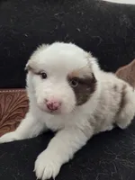 processed/b72c799c-7035-4947-a0fe-b5edd27f6c64/listing/8b5b8173-b471-4e19-8451-19ade2fce8f4/381784fc-934c-4ca3-9bef-19c2e05e11ed