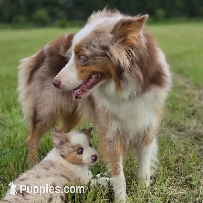 processed/b72c799c-7035-4947-a0fe-b5edd27f6c64/listing/8b5b8173-b471-4e19-8451-19ade2fce8f4/74d49edc-a1f4-4b78-b572-79b1894a2ab8