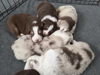 processed/b72c799c-7035-4947-a0fe-b5edd27f6c64/listing/8b5b8173-b471-4e19-8451-19ade2fce8f4/ad035569-aad8-4c2b-b416-97fab9fae94e