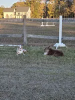 processed/b72c799c-7035-4947-a0fe-b5edd27f6c64/listing/8b5b8173-b471-4e19-8451-19ade2fce8f4/bb9a8db6-9f35-4ba2-a499-20dfcb937e6b