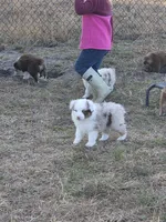 processed/b72c799c-7035-4947-a0fe-b5edd27f6c64/listing/8b5b8173-b471-4e19-8451-19ade2fce8f4/df4521e9-7c1c-46a4-a083-29e9575bdb3e