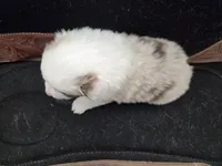 processed/b72c799c-7035-4947-a0fe-b5edd27f6c64/listing/8b5b8173-b471-4e19-8451-19ade2fce8f4/e46e8059-9353-44c4-8e5e-9f97ff0cf168