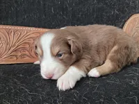 processed/b72c799c-7035-4947-a0fe-b5edd27f6c64/listing/ffb78905-5657-40b9-b4a2-8c7fe9516598/19d0dd19-5486-4541-91b2-7adfd4e0fe1e